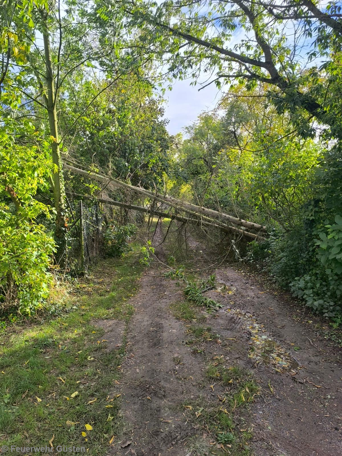 Einsatzfoto Verkehrshindernis