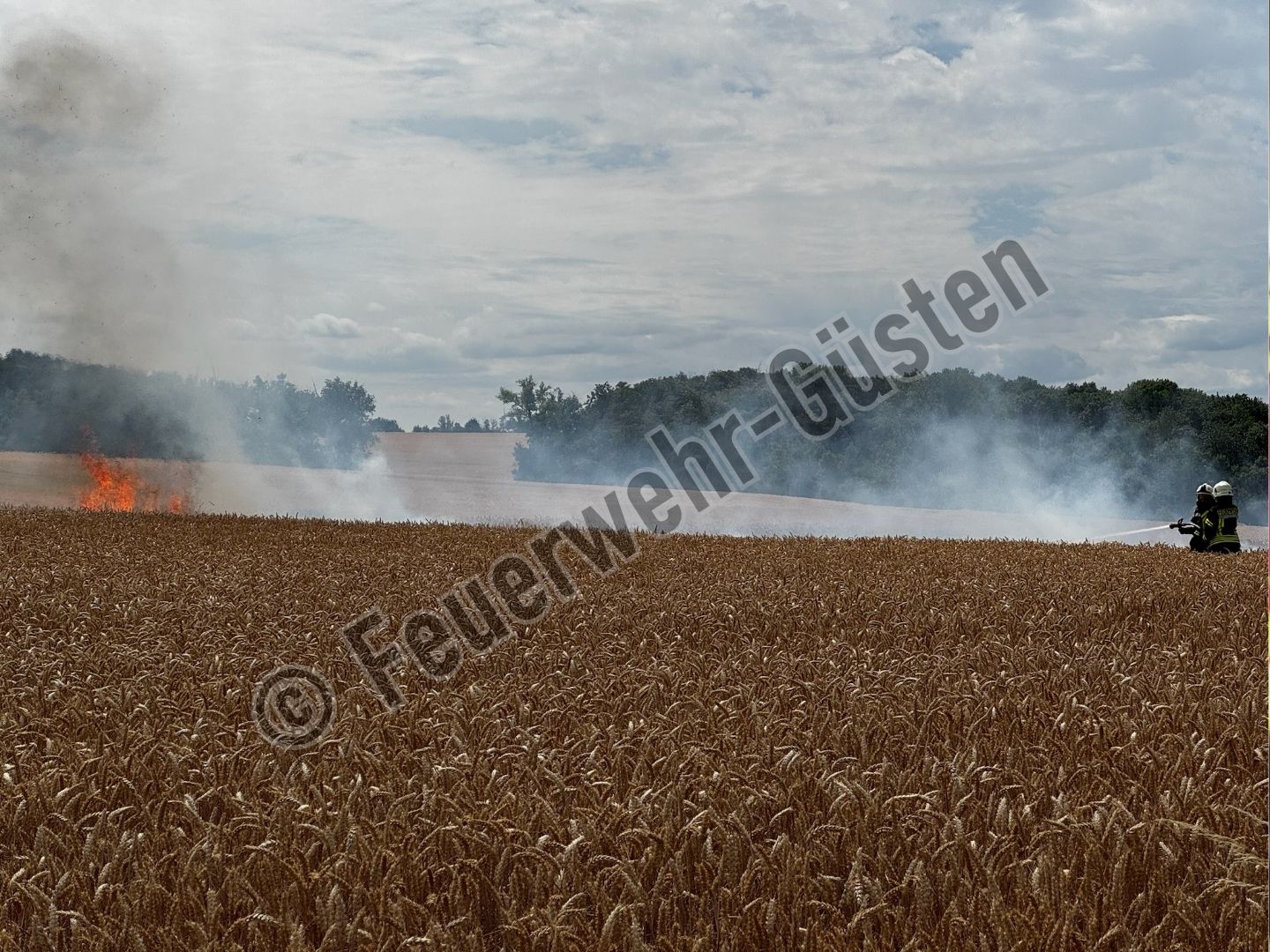Du betrachtest gerade Getreidefeldbrand