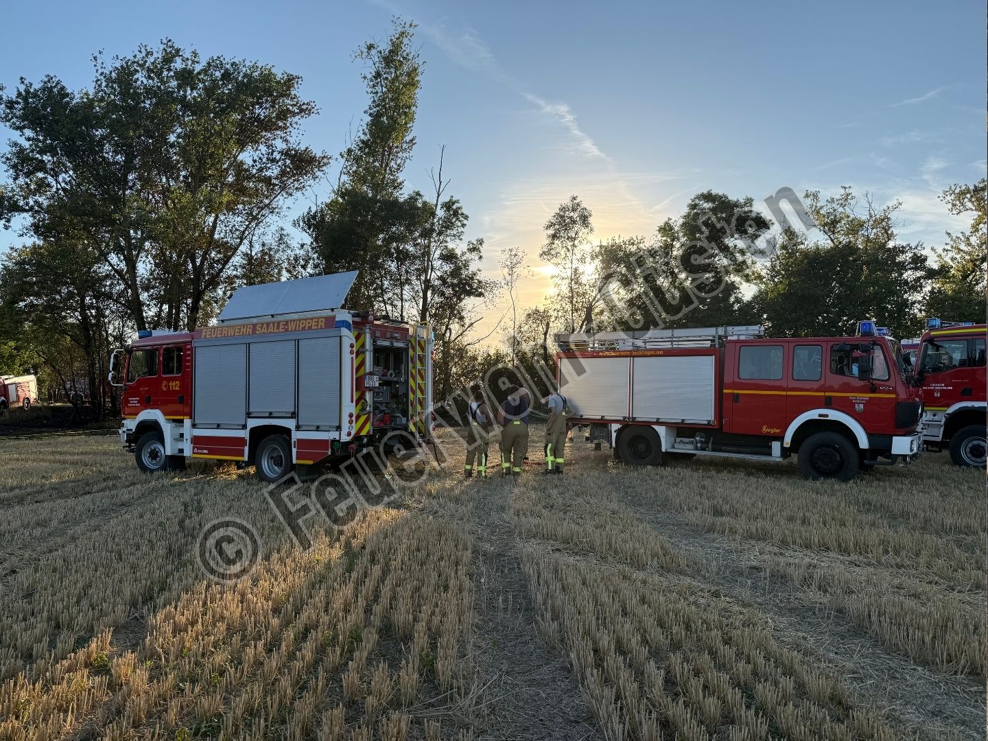 Du betrachtest gerade Mittelbrand